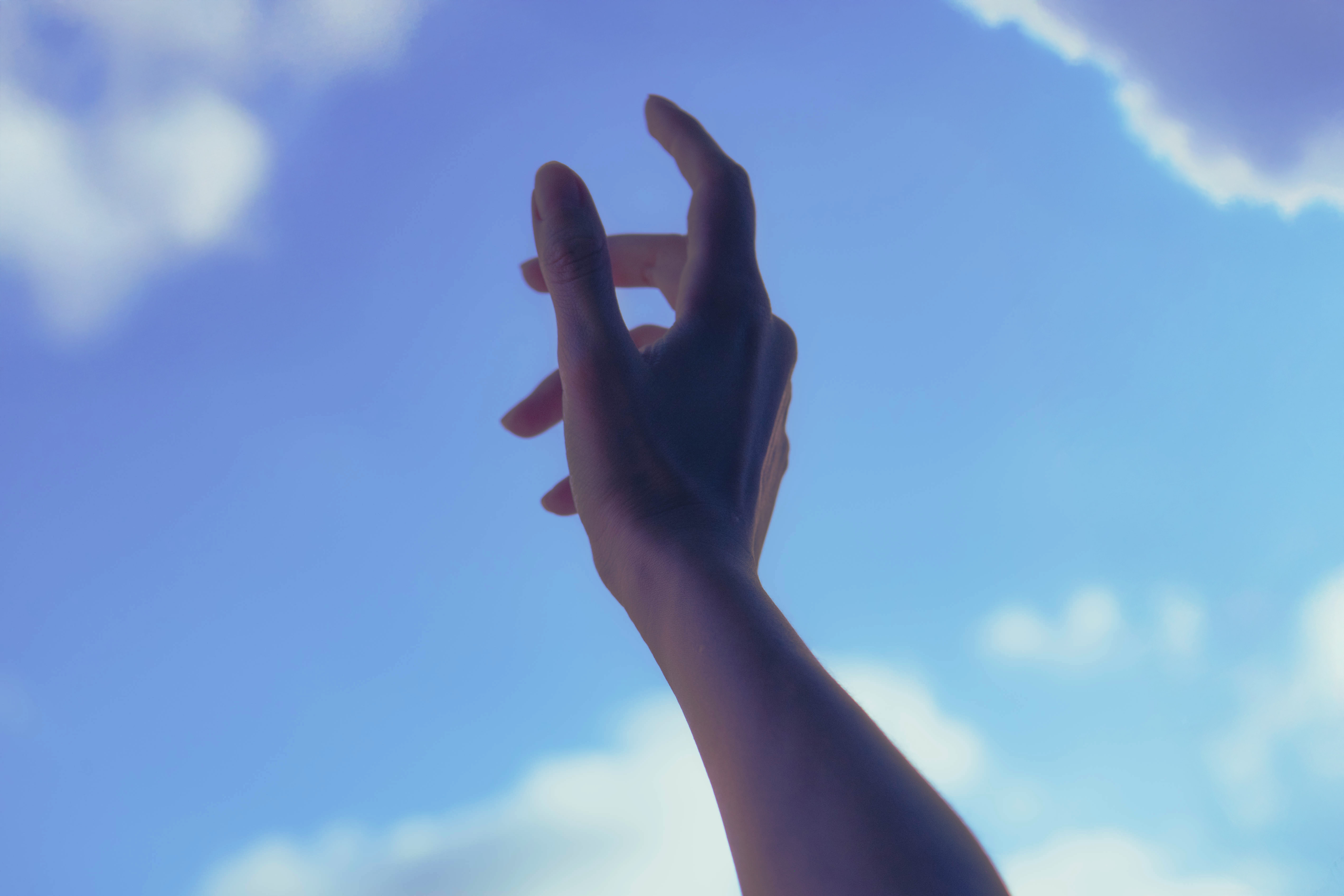 photo narrative daphnée opale photo narrative